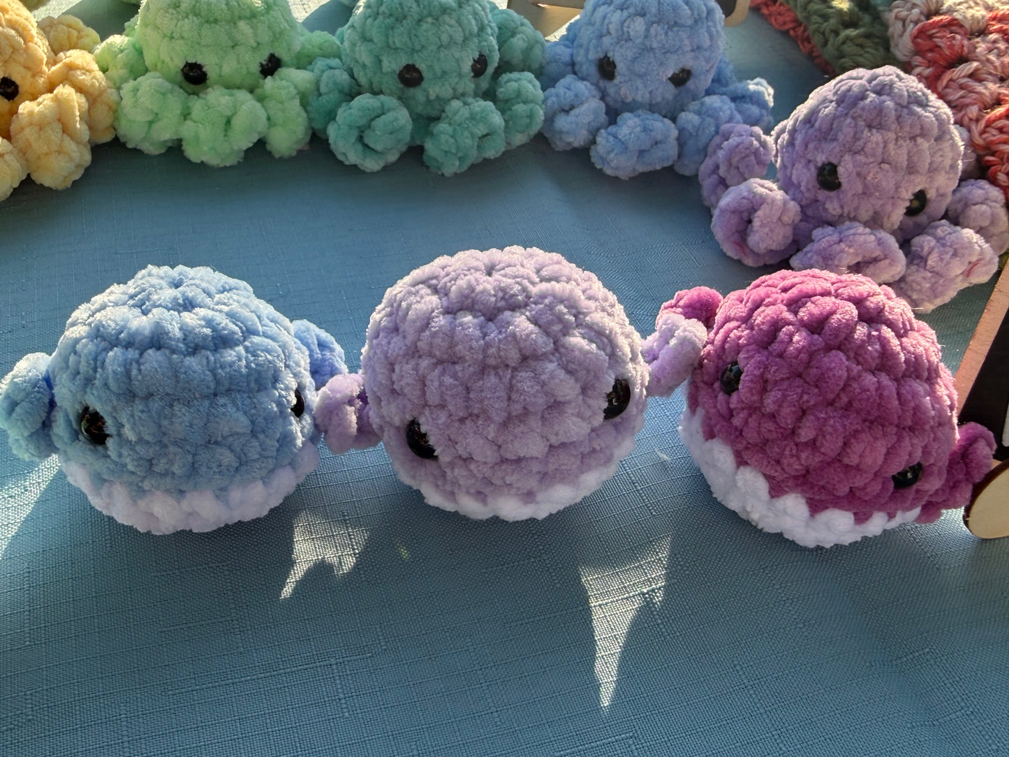 Mini Whale