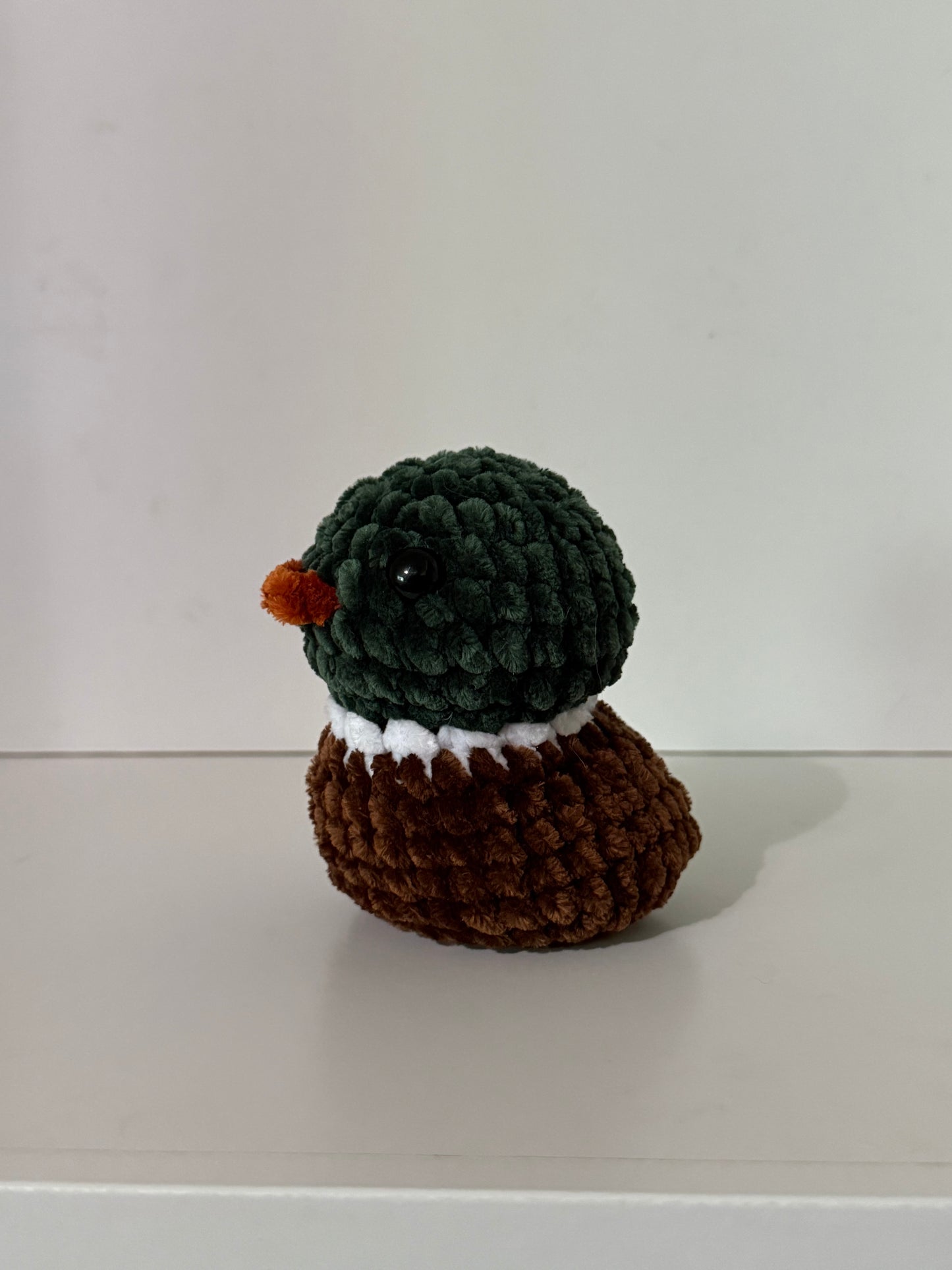 Duck